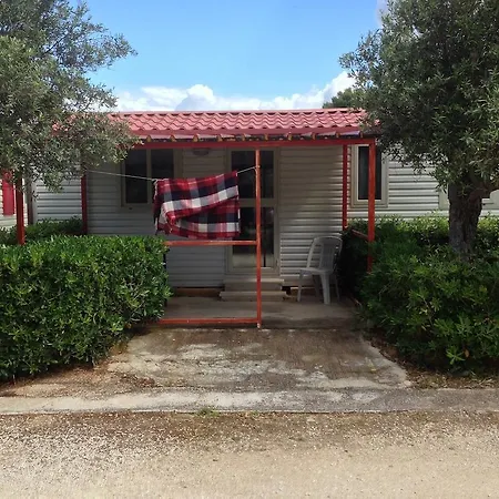 Athena * Castelvetrano