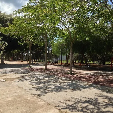 Athena * Castelvetrano